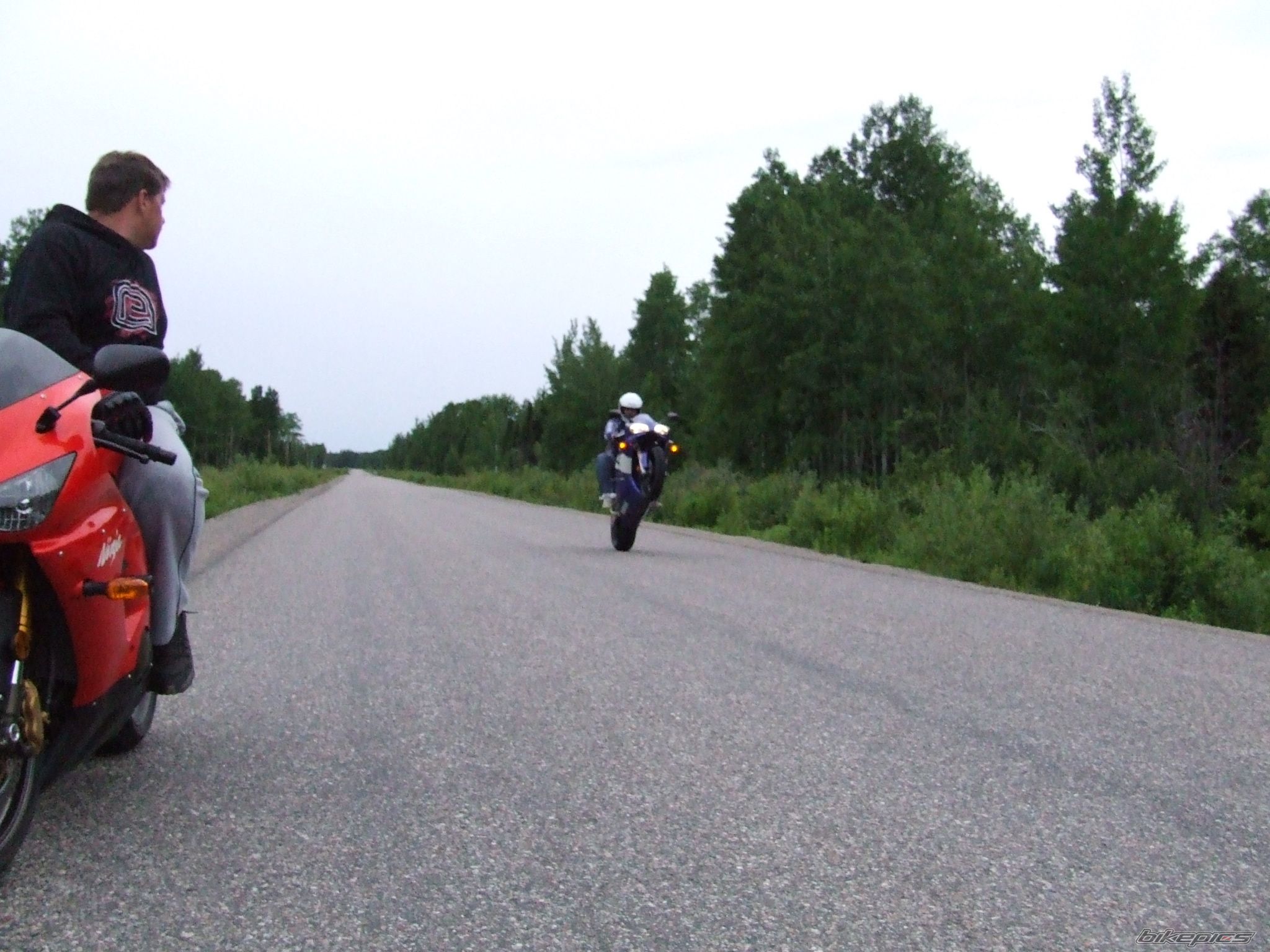 2001 YAMAHA YZF R1 | Picture 959612 motorcycle photo