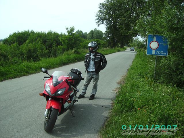 2002 HONDA CBR 600 | Picture 960010 motorcycle photo