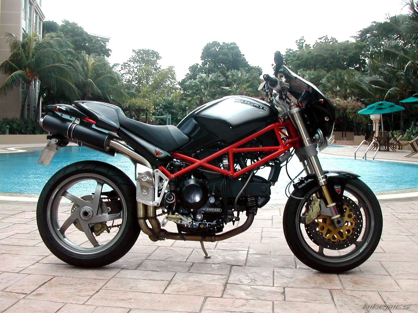 1994 DUCATI MONSTER 900 | Picture 960202 motorcycle photo