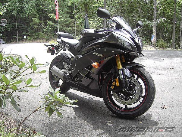 2007 YAMAHA YZF R6 | Picture 960268 motorcycle photo