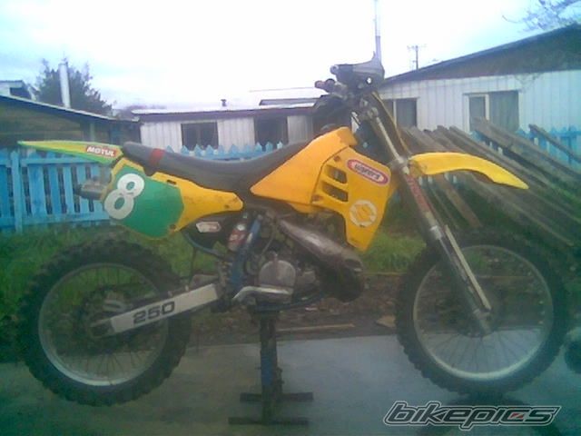 1992 SUZUKI RM 250 | Picture 960385 motorcycle photo