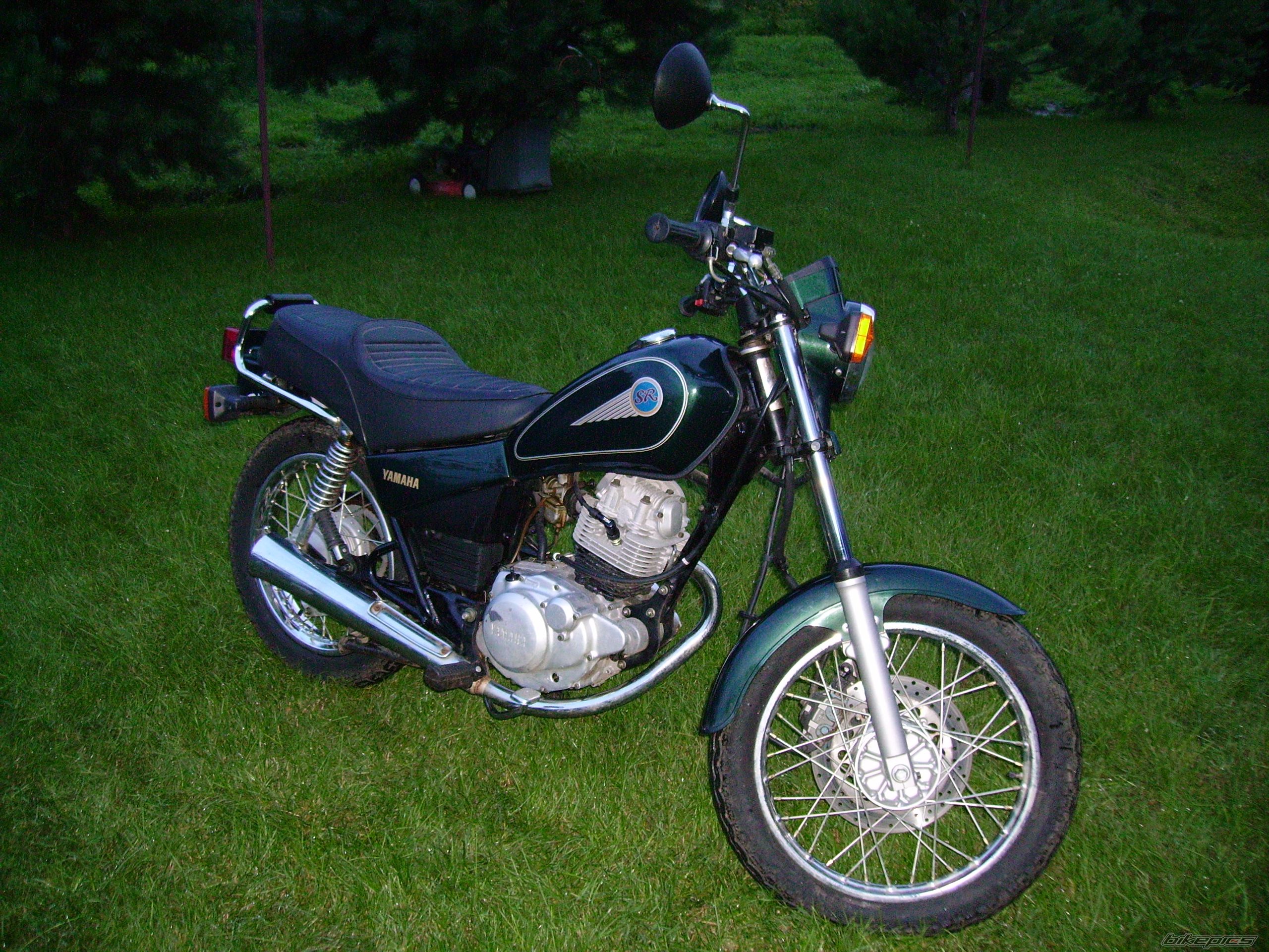 1998 YAMAHA SR 125 | Picture 961182 motorcycle photo