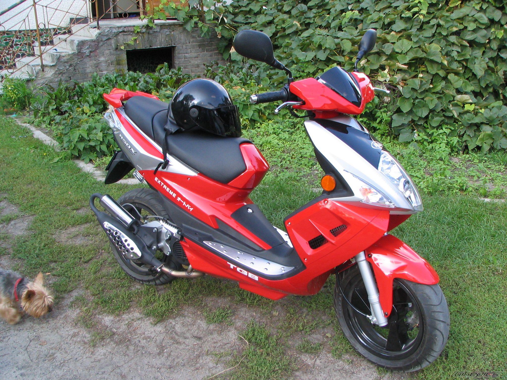 2006 TGB RACING 50 XTREME | Picture 961428 motorcycle photo