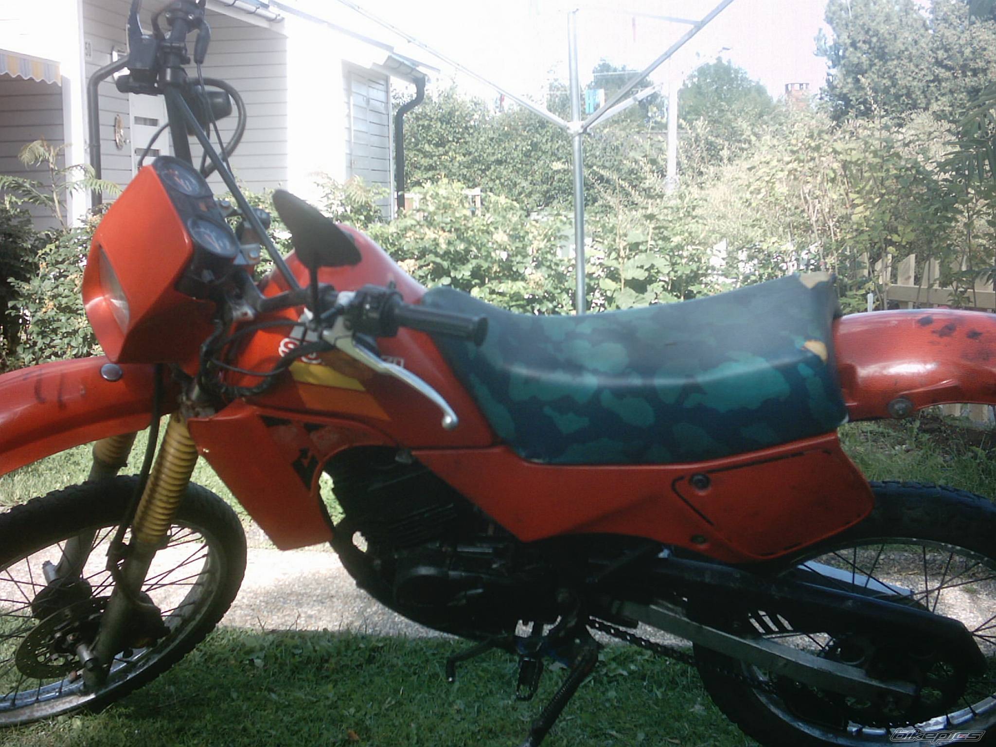 1987 SUZUKI TS 50 | Picture 96184 motorcycle photo