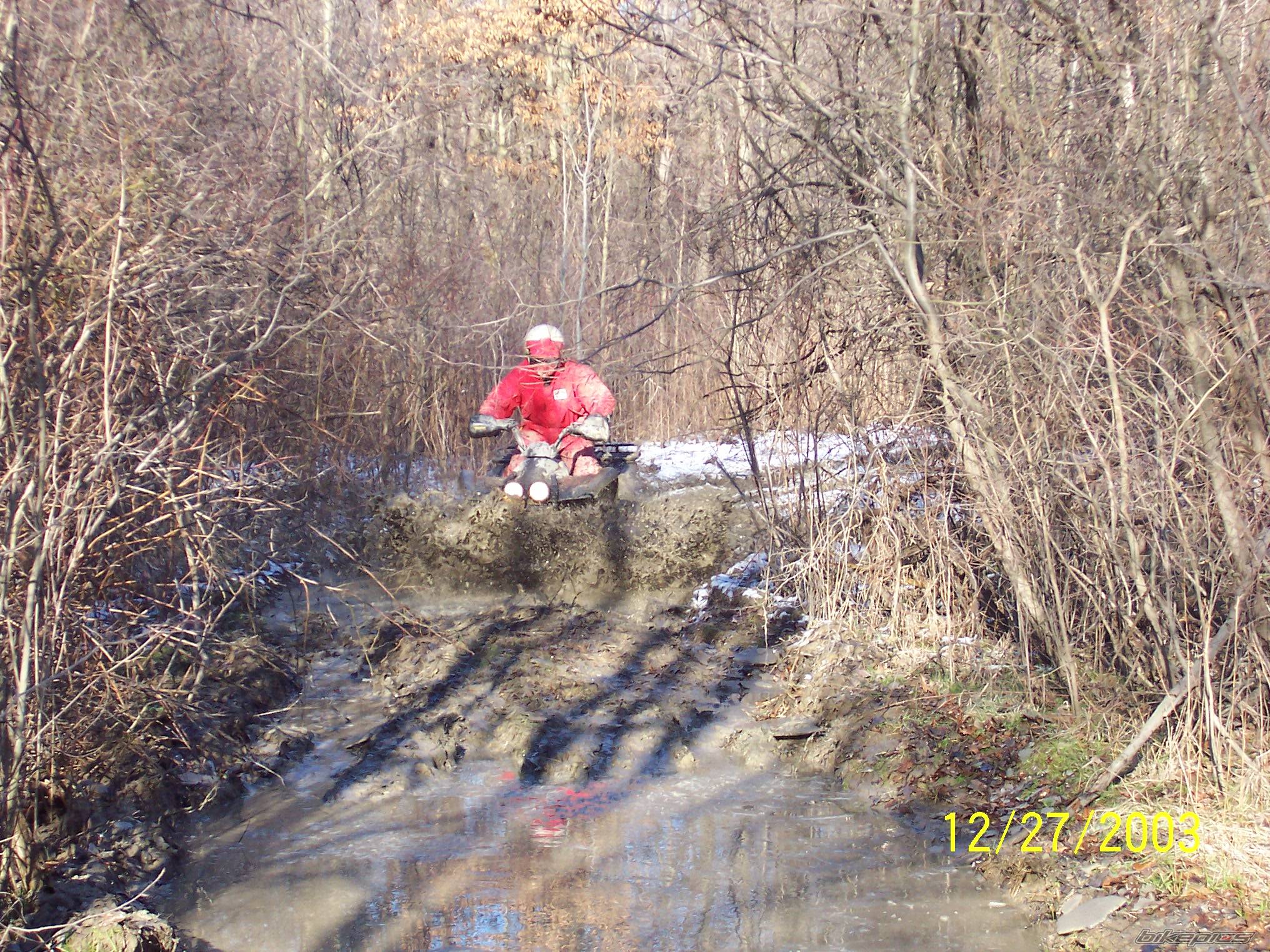 2003 YAMAHA WOLVERINE | Picture 96192 motorcycle photo