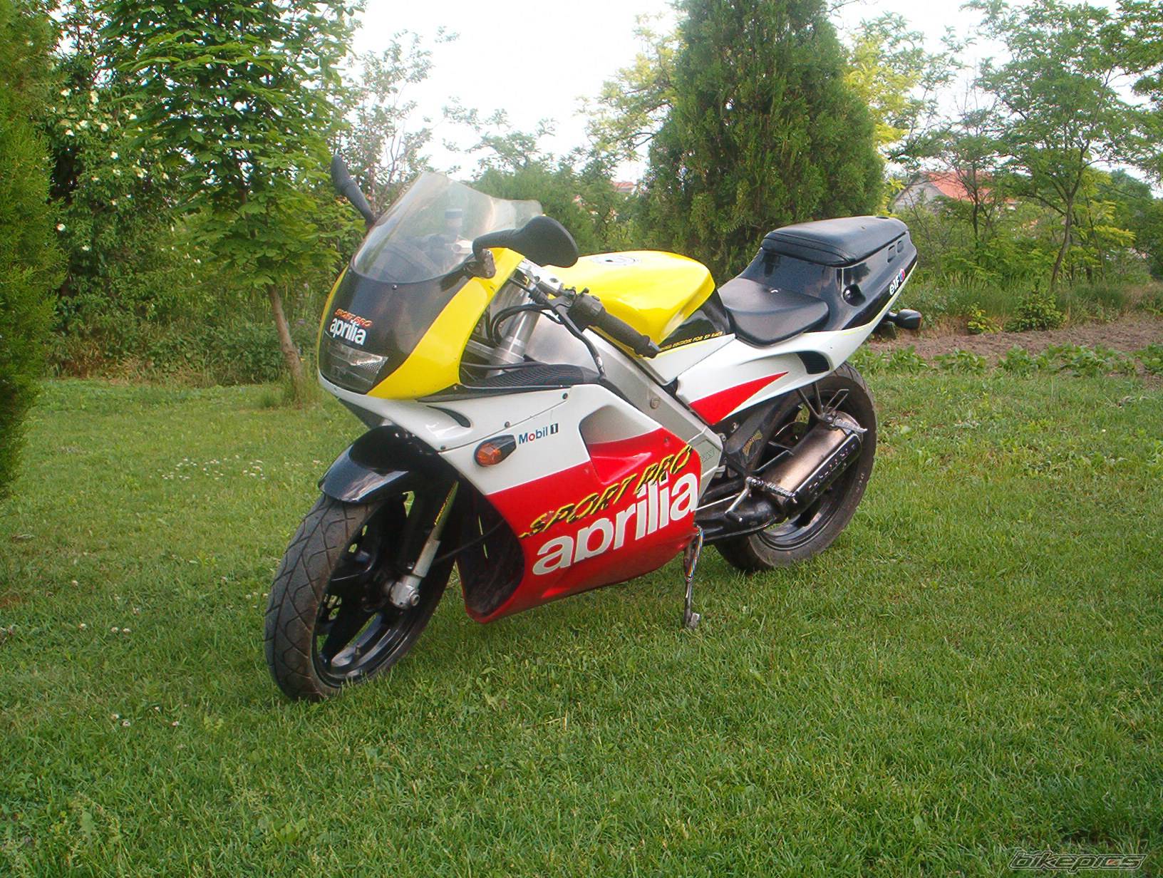 1993 APRILIA AF1 SPORT PRO 125 | Picture 96277 motorcycle photo