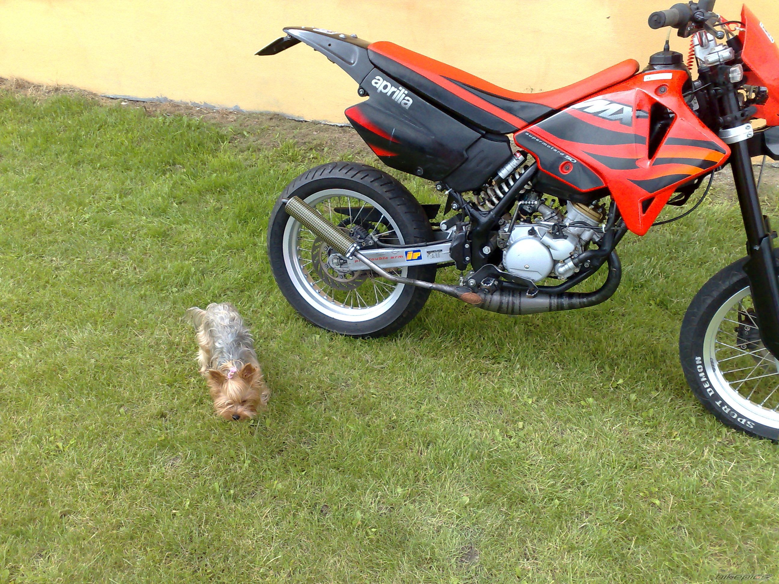 2007 APRILIA MX 50 | Picture 963946 motorcycle photo