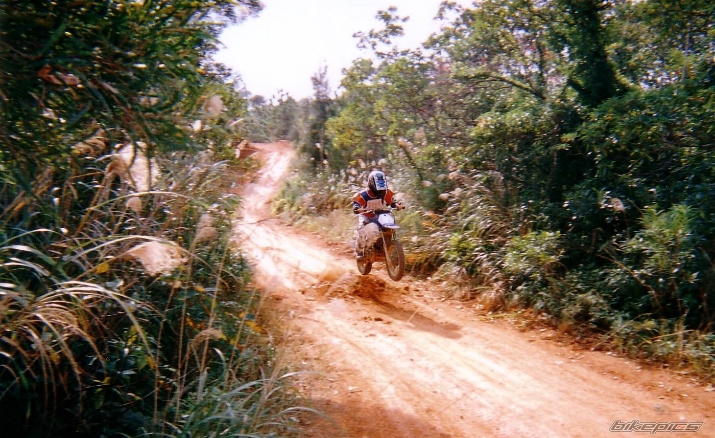 2004 YAMAHA PW 80 | Picture 96449 motorcycle photo