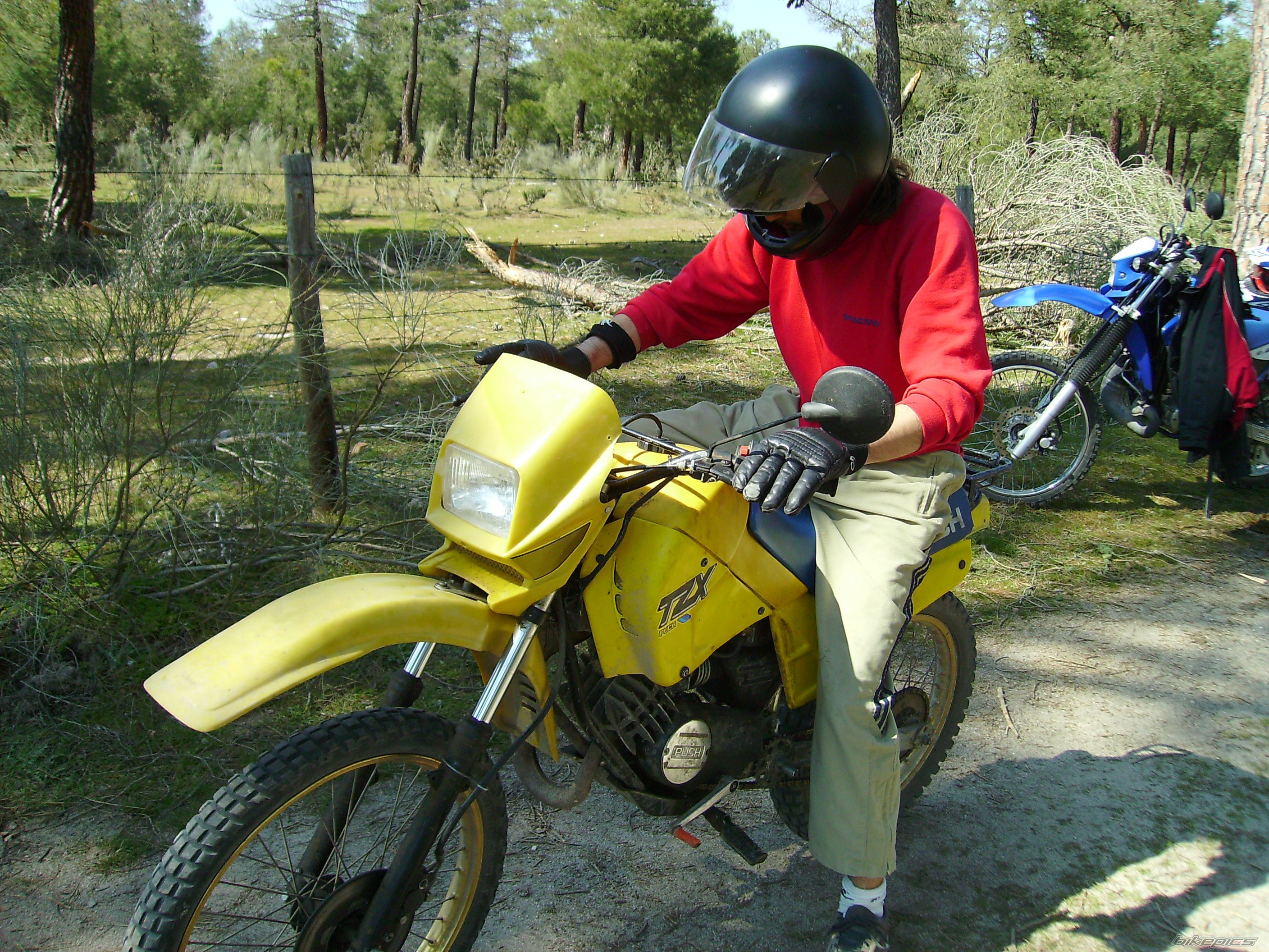 1984 PUCH MINICROSS | Picture 964622 motorcycle photo