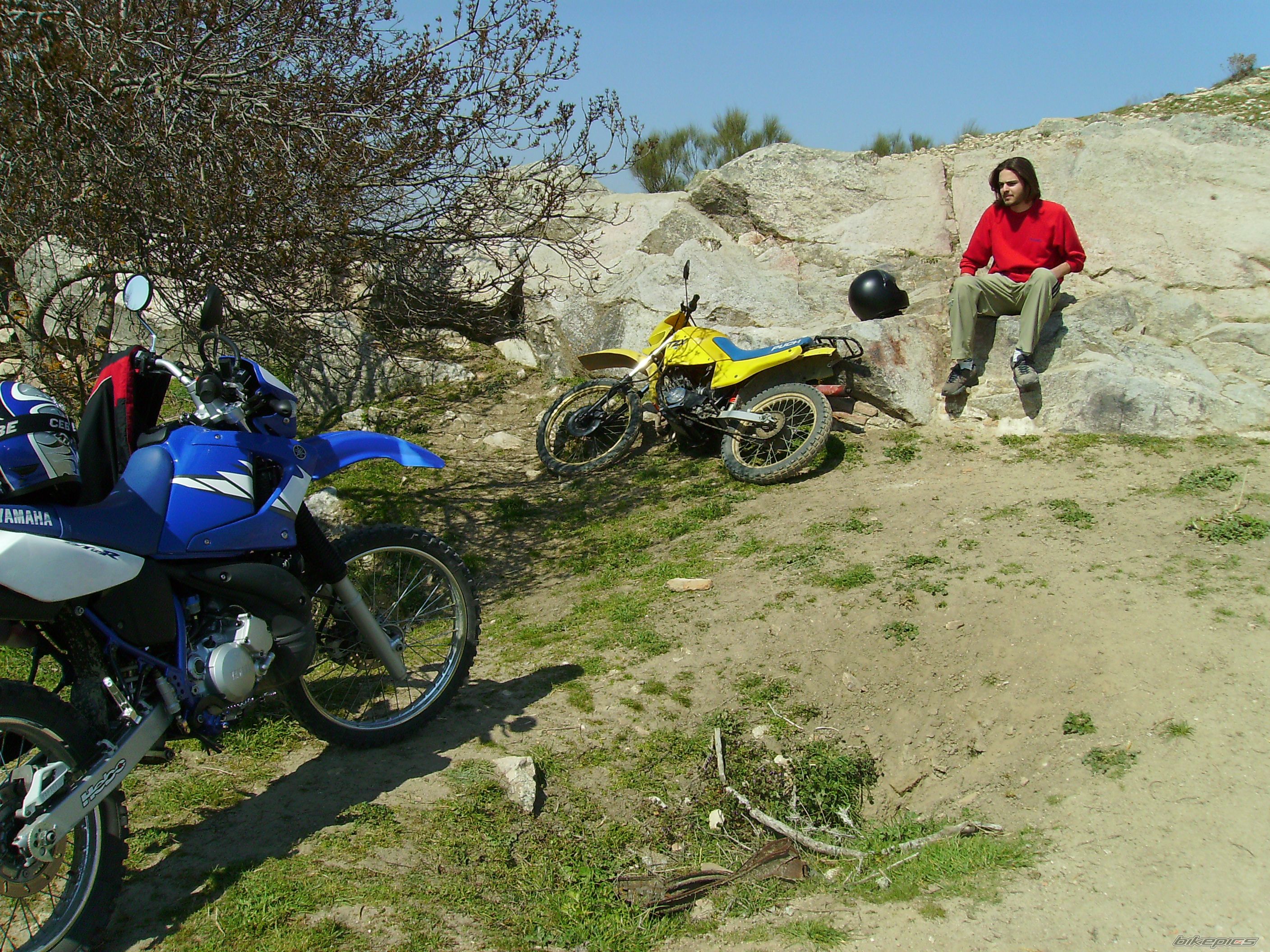 1984 PUCH MINICROSS | Picture 964624 motorcycle photo
