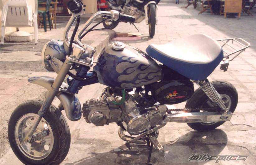 2004 HONDA Z 50 | Picture 96518 motorcycle photo