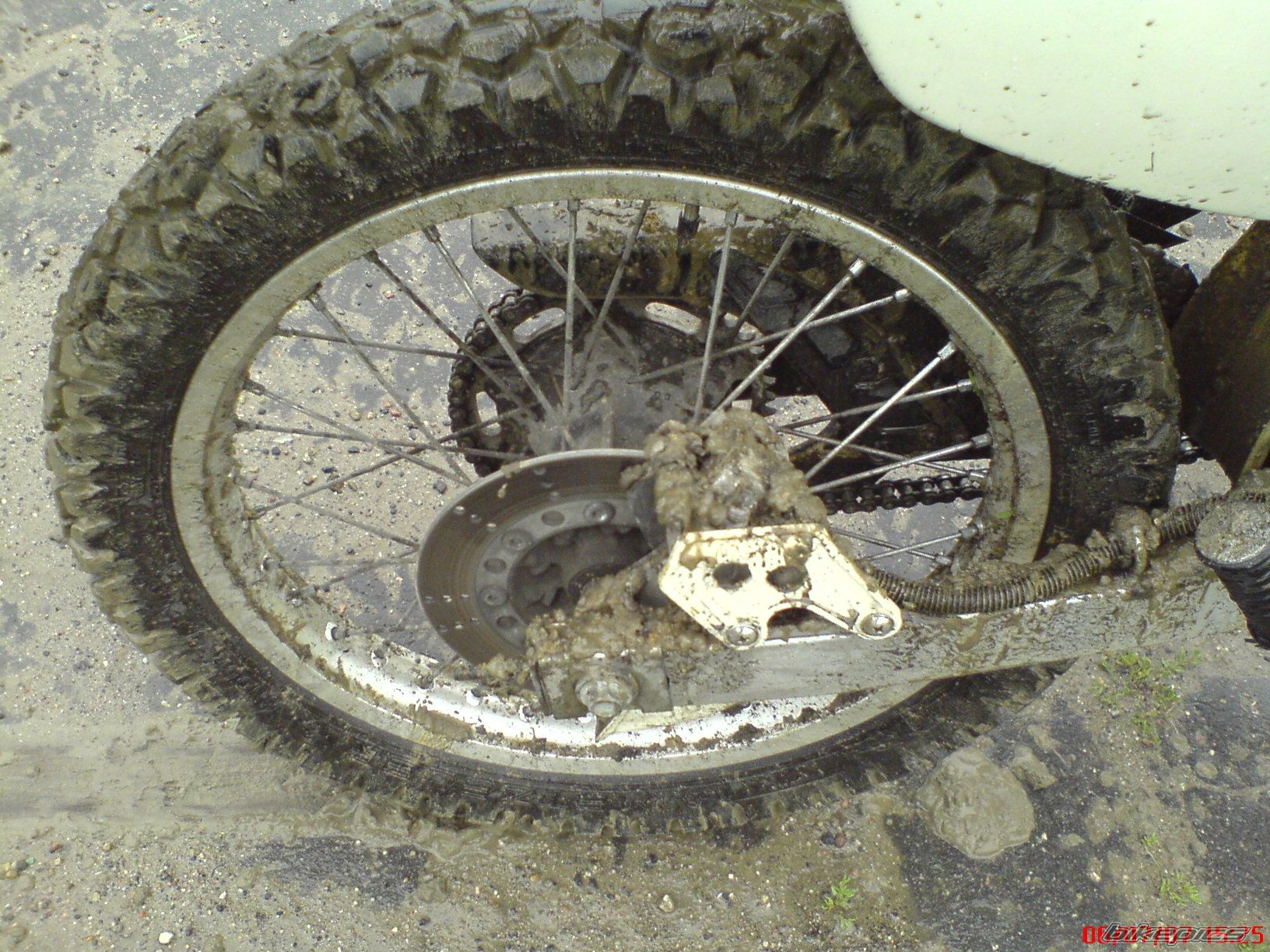1998 KAWASAKI KMX 125 | Picture 965281 motorcycle photo
