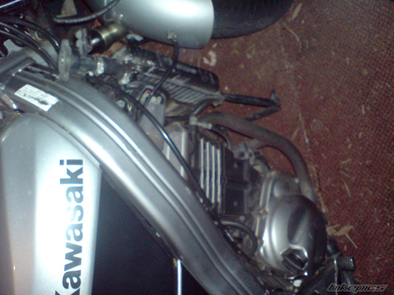 1999 KAWASAKI ZZR 250 | Picture 965401 motorcycle photo