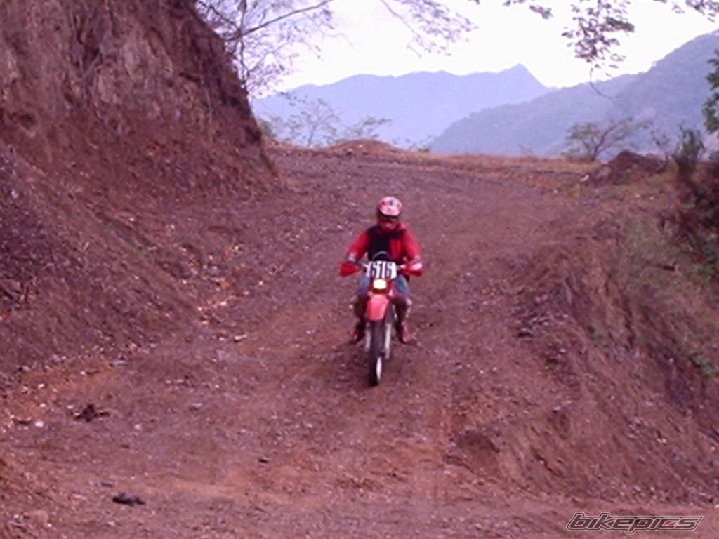 2003 HONDA XR 400 | Picture 96548 motorcycle photo