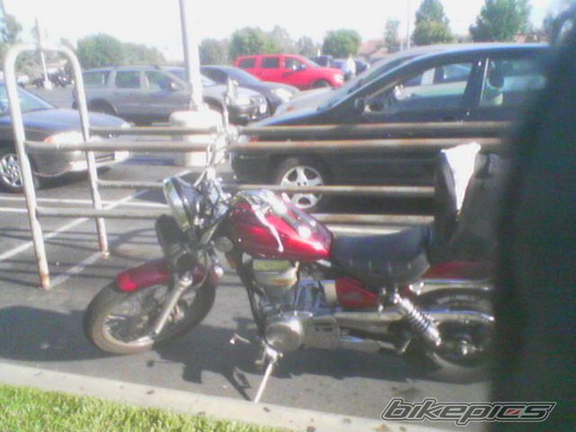 1996 SUZUKI SAVAGE | Picture 966205 motorcycle photo