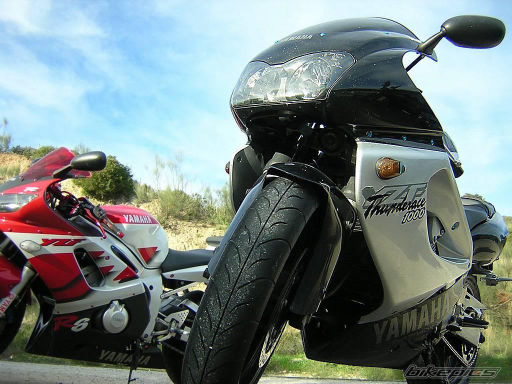 2000 YAMAHA YZF 1000 | Picture 96668 motorcycle photo
