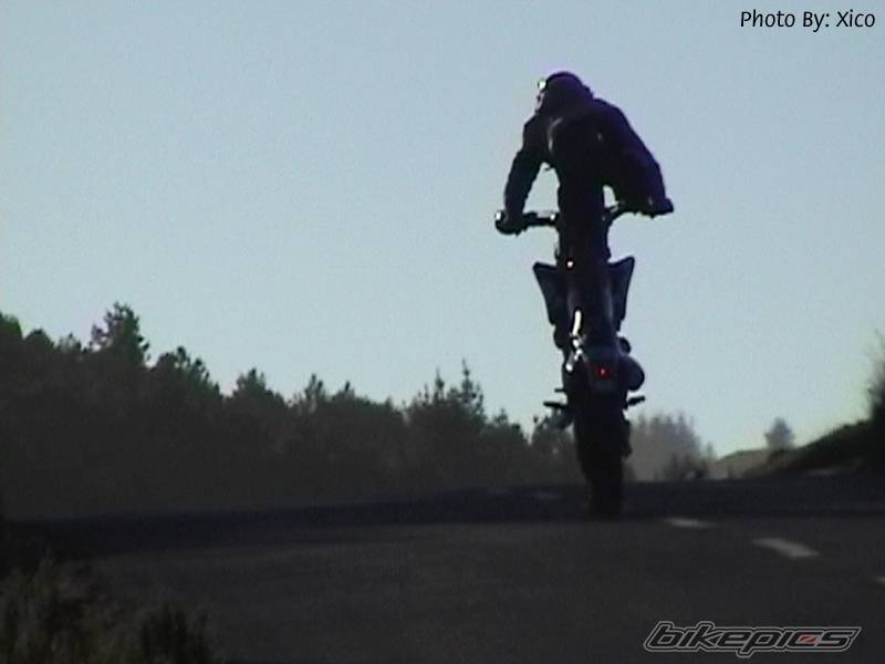 2003 YAMAHA WR 426F | Picture 96690 motorcycle photo