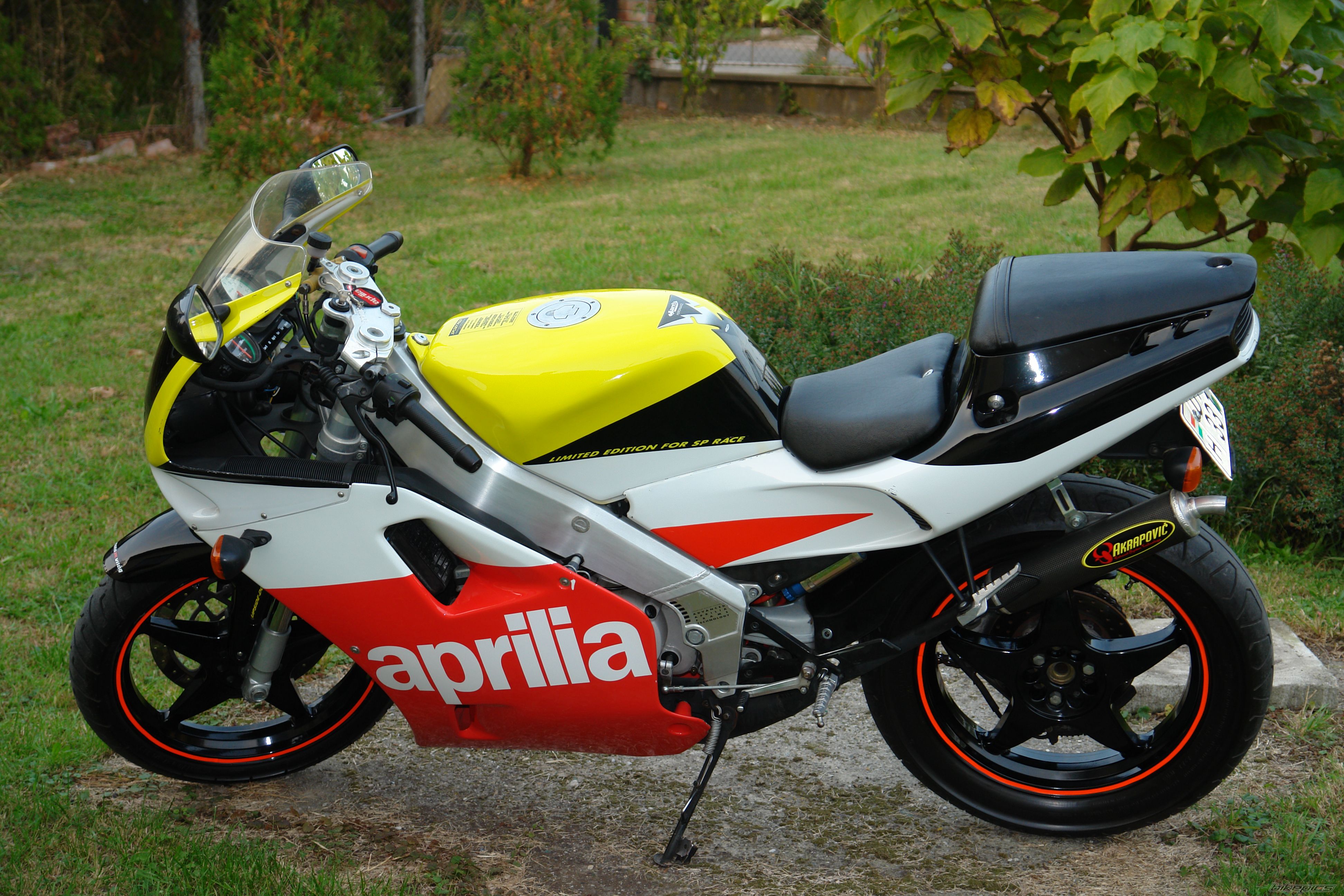 1992 APRILIA AF1 SPORT PRO 125 | Picture 967043 motorcycle photo