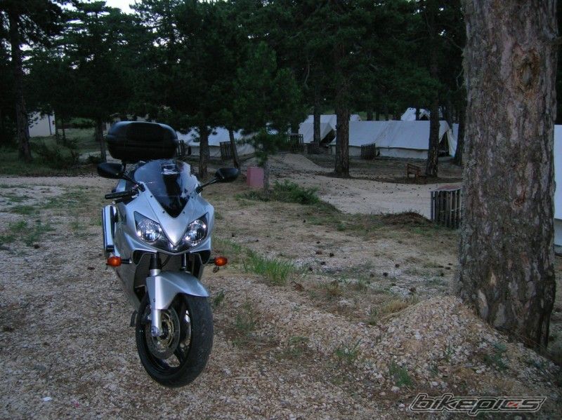 2002 HONDA CBR 600 | Picture 967109 motorcycle photo