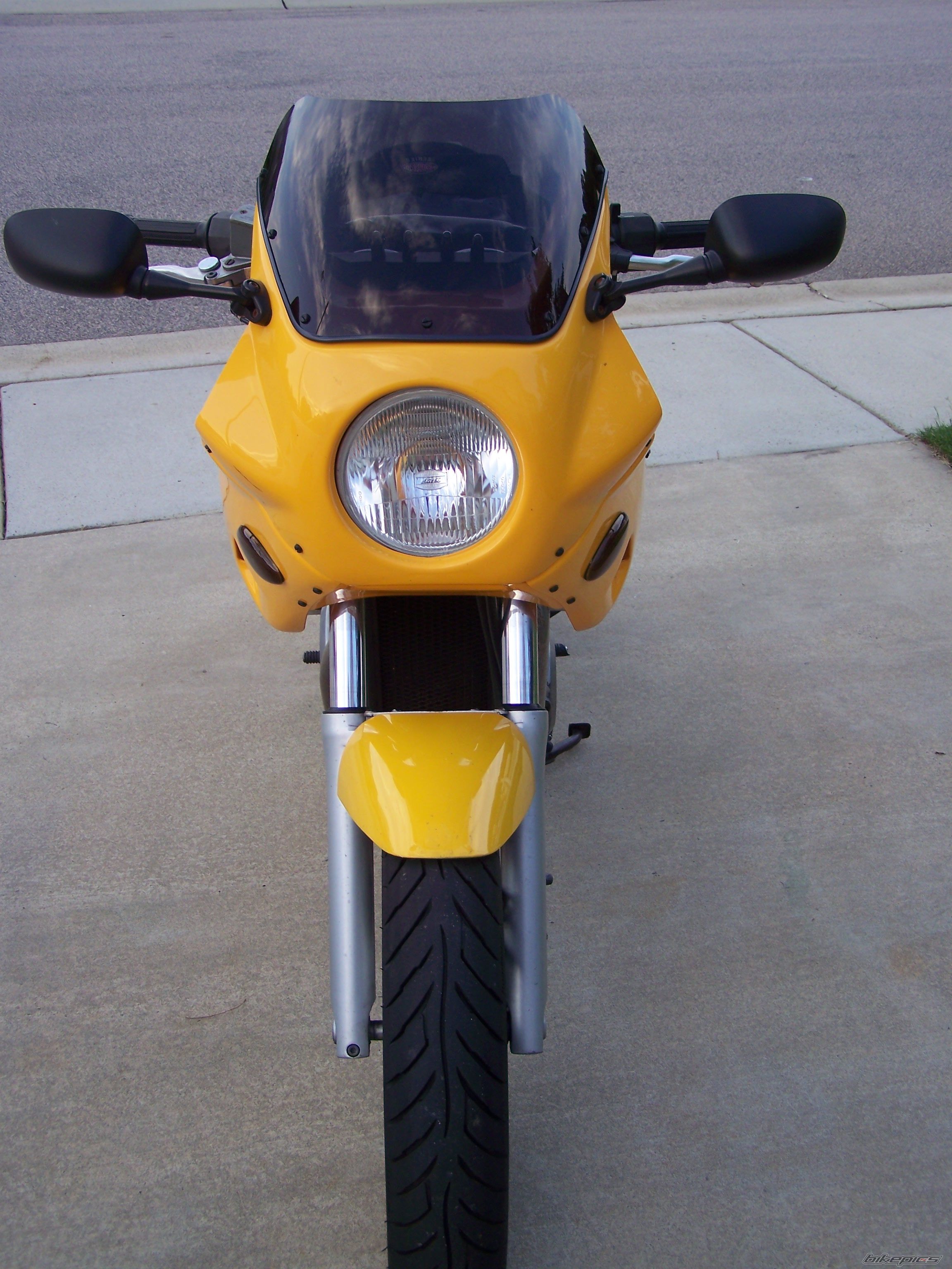 1992 SUZUKI VX 800 | Picture 967140 motorcycle photo