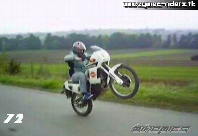 1991 CAGIVA COCIS 80 | Picture 967433 motorcycle photo