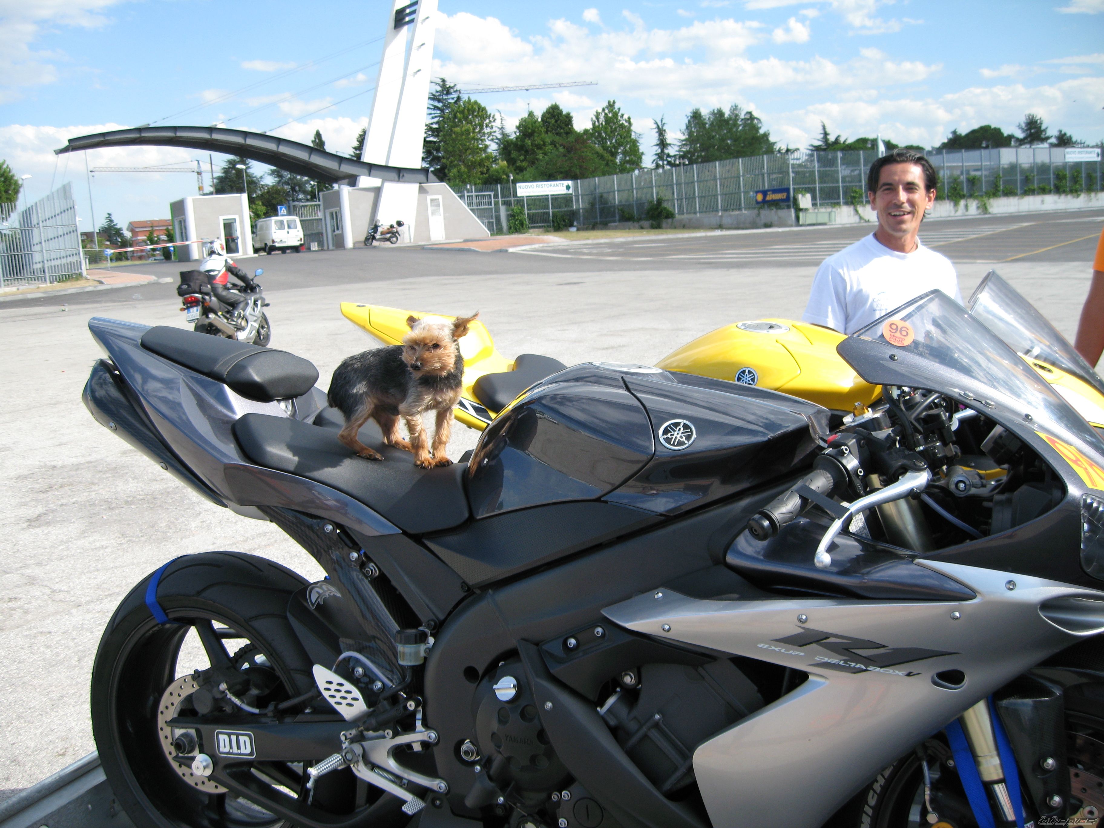 2006 YAMAHA YZF R1 | Picture 968005 motorcycle photo