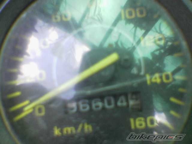 1996 HONDA HONDA NOVA TENA 110 | Picture 968726 motorcycle photo