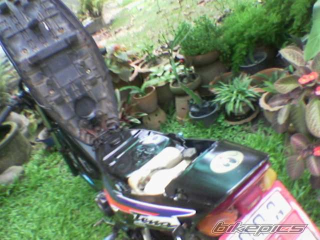 1996 HONDA HONDA NOVA TENA 110 | Picture 968727 motorcycle photo