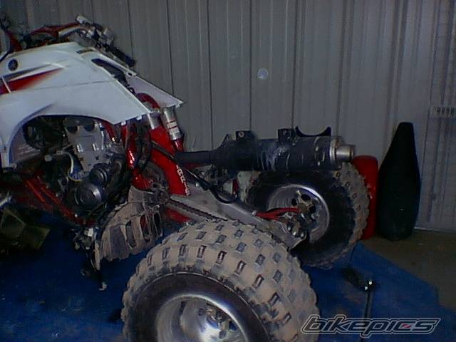2003 YAMAHA RAPTOR YFZ 450 | Picture 96933 motorcycle photo