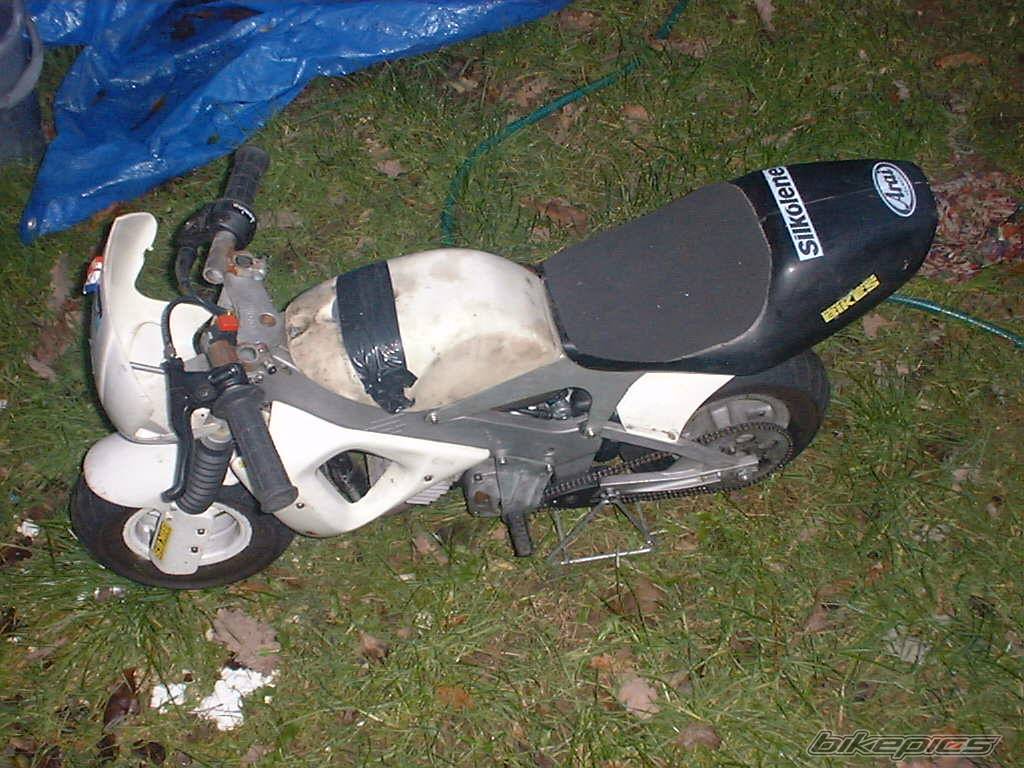 1998 POLINI 911 | Picture 96937 motorcycle photo