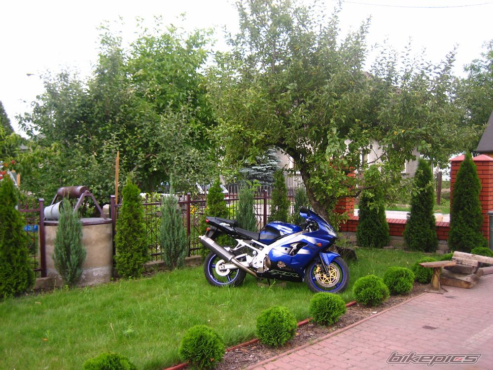 2002 KAWASAKI ZX 9R | Picture 969534 motorcycle photo