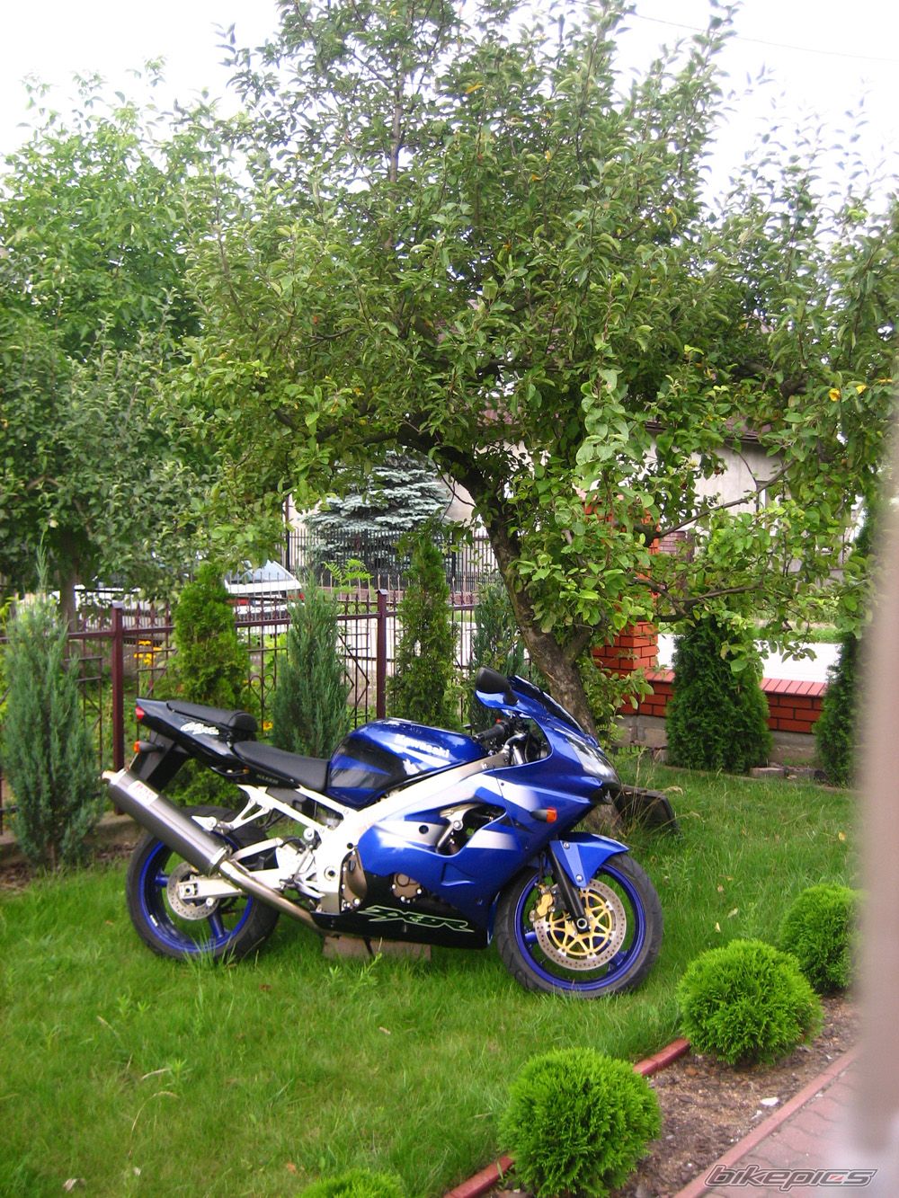 2002 KAWASAKI ZX 9R | Picture 969537 motorcycle photo