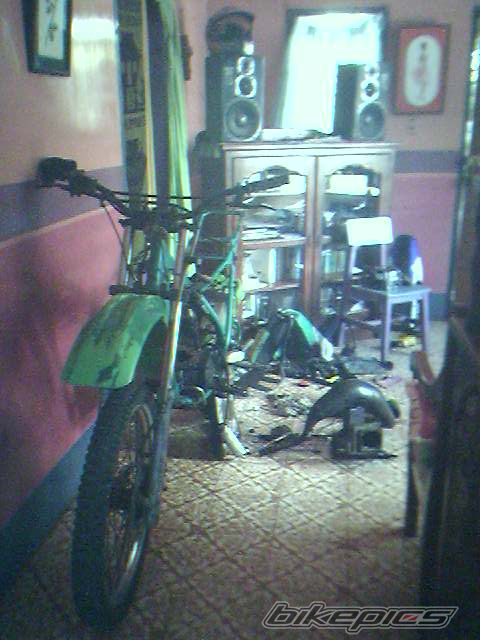 1998 KAWASAKI KMX 125 | Picture 969660 motorcycle photo