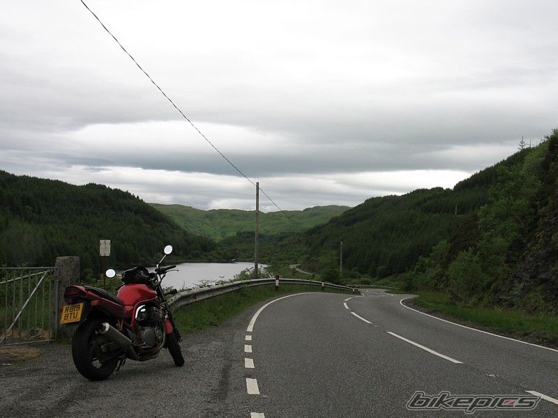 1998 SUZUKI BANDIT 600 | Picture 969684 motorcycle photo