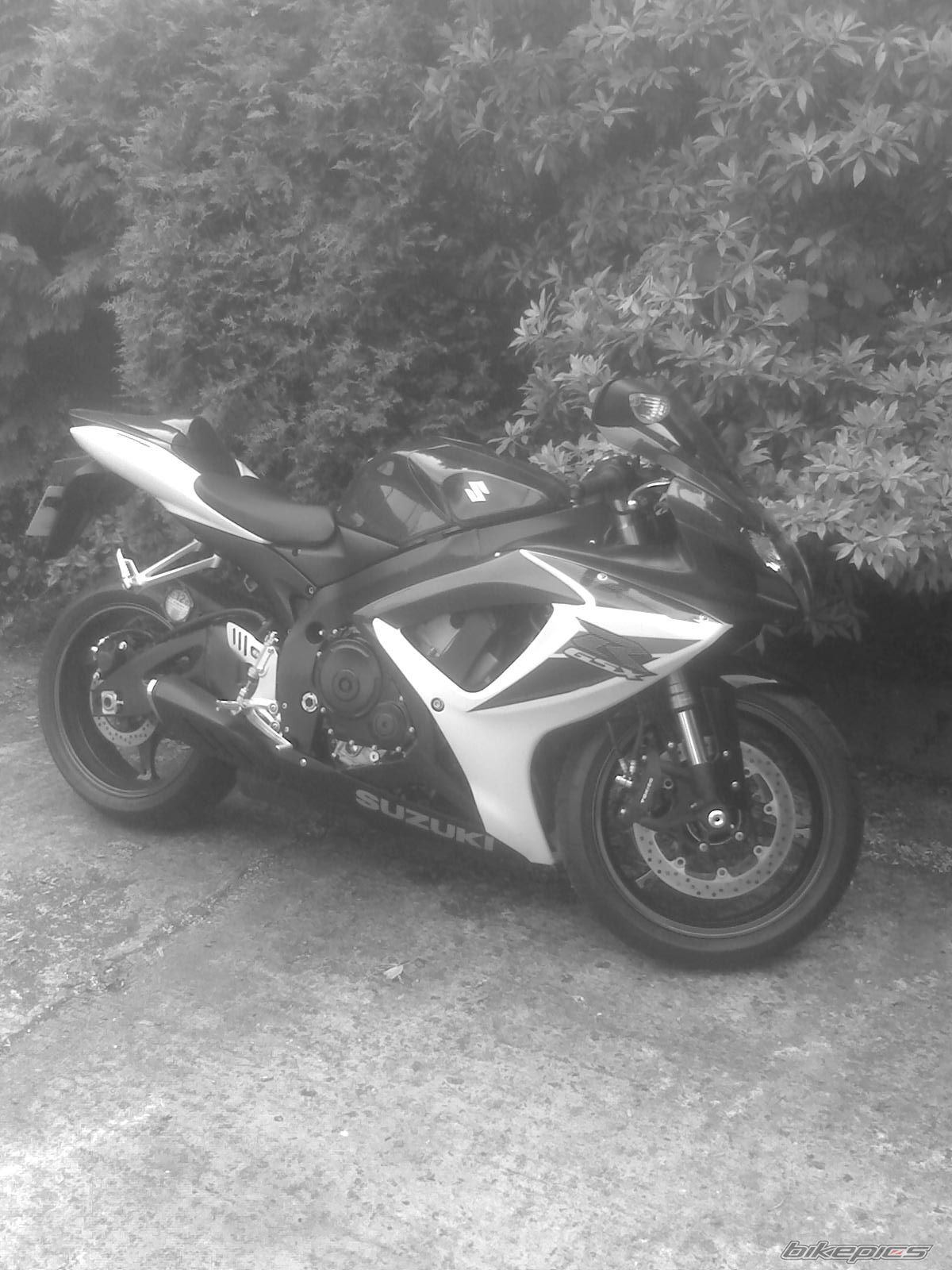 2007 SUZUKI GSX R 600 | Picture 969702 motorcycle photo