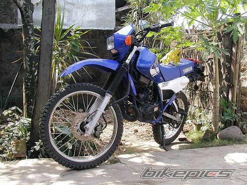 2003 YAMAHA DT 125 | Picture 969714 motorcycle photo