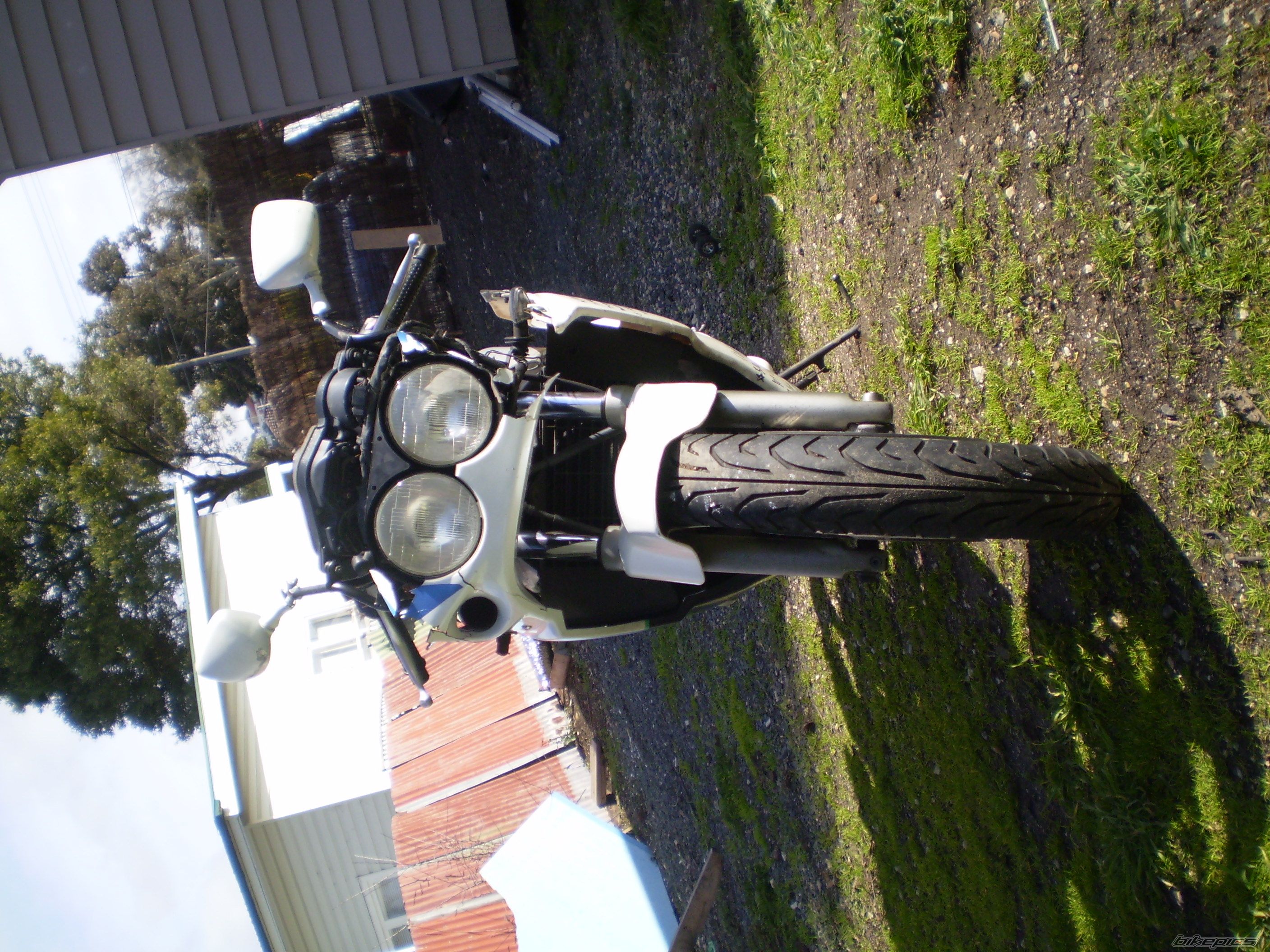 1989 YAMAHA FZR 250 EXUP | Picture 970038 motorcycle photo