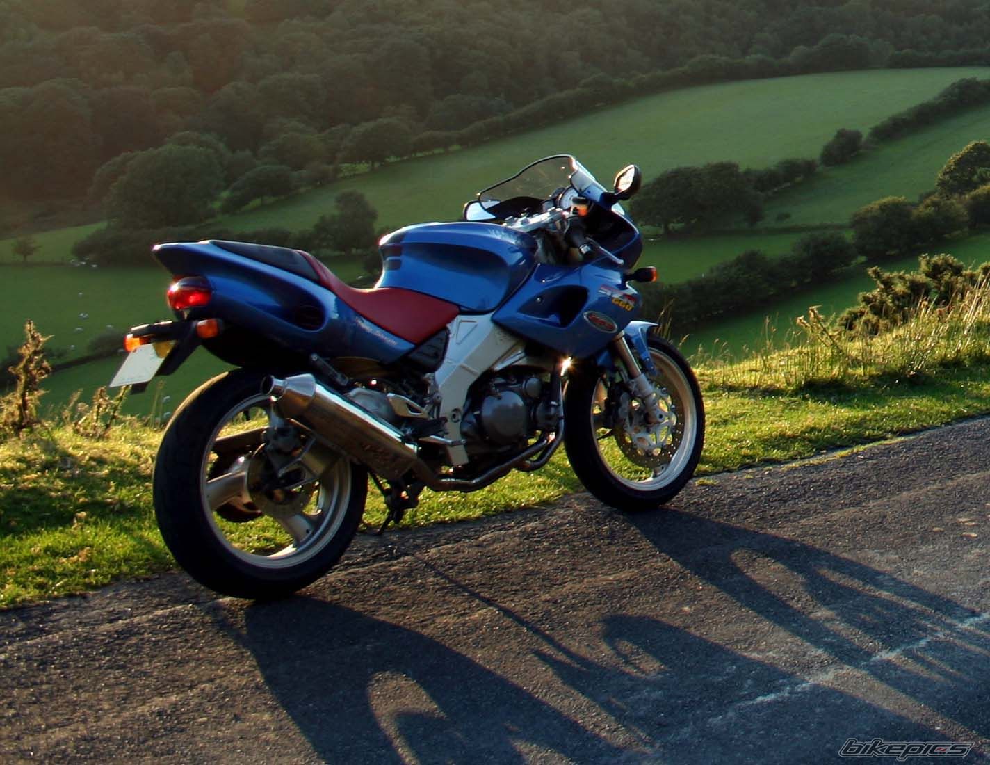 2001 YAMAHA SZR 660 | Picture 970103 motorcycle photo
