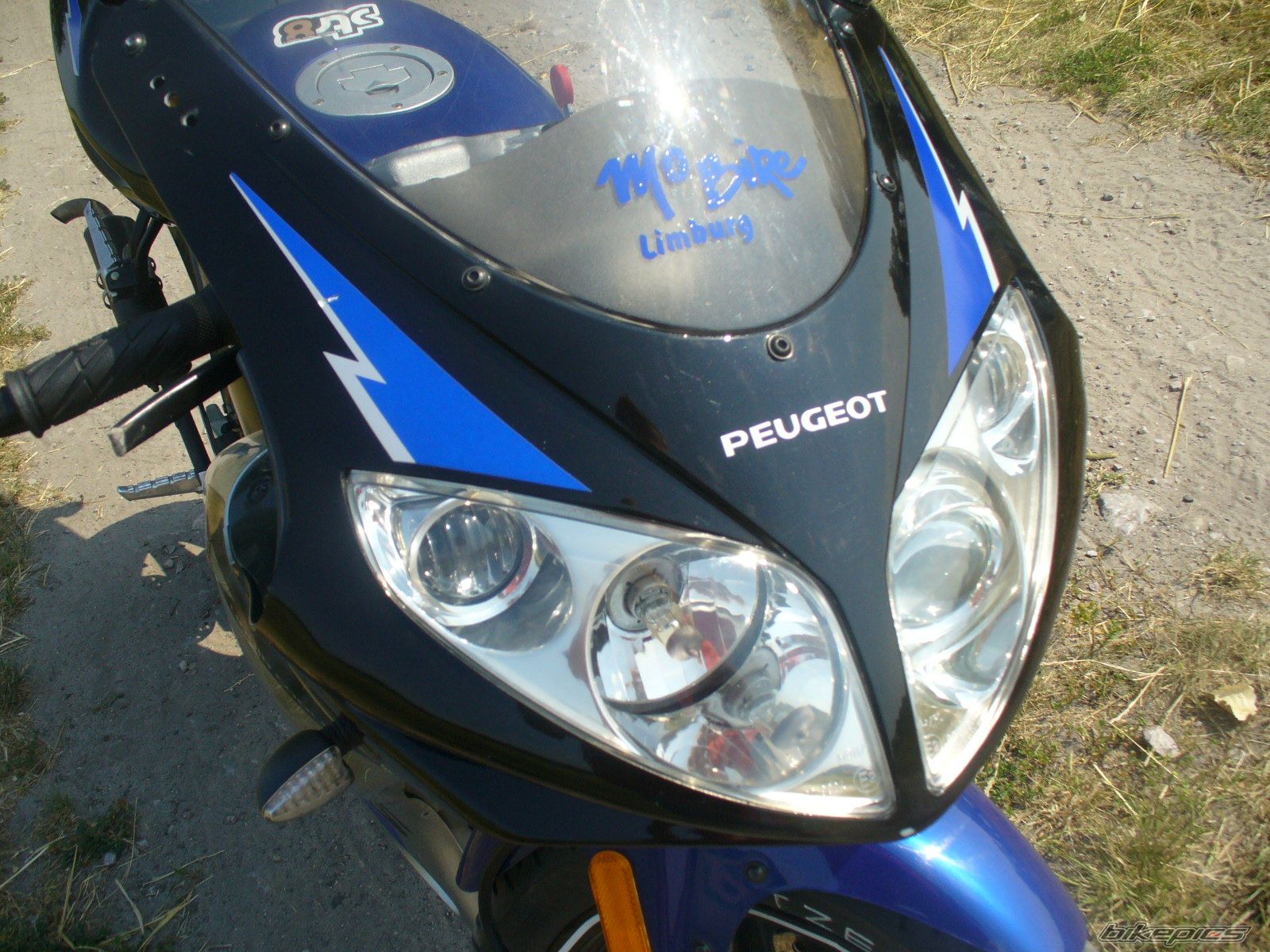 2006 PEUGEOT XR6 | Picture 970208 motorcycle photo