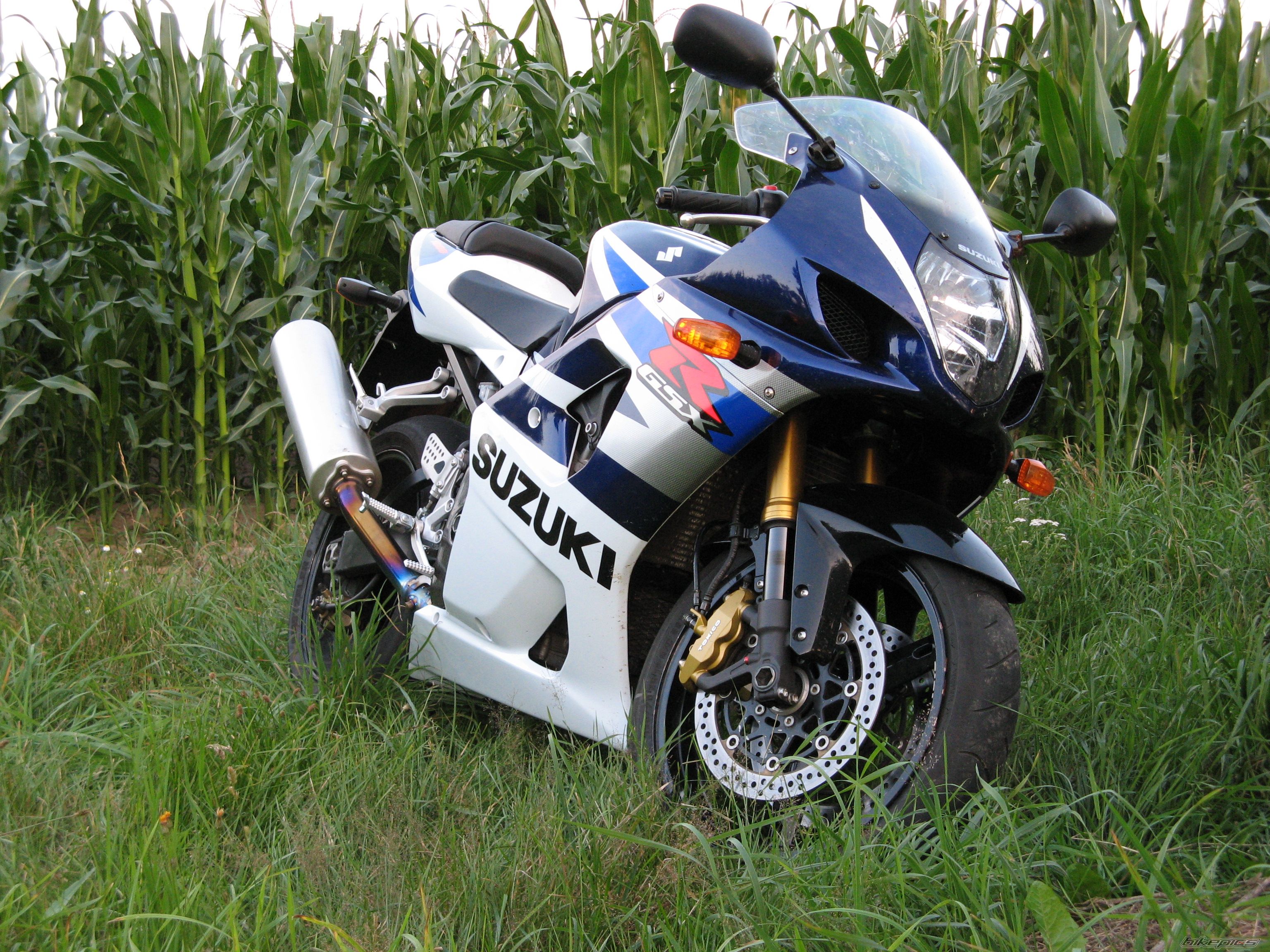 2003 SUZUKI GSX R 1000 | Picture 970520 motorcycle photo