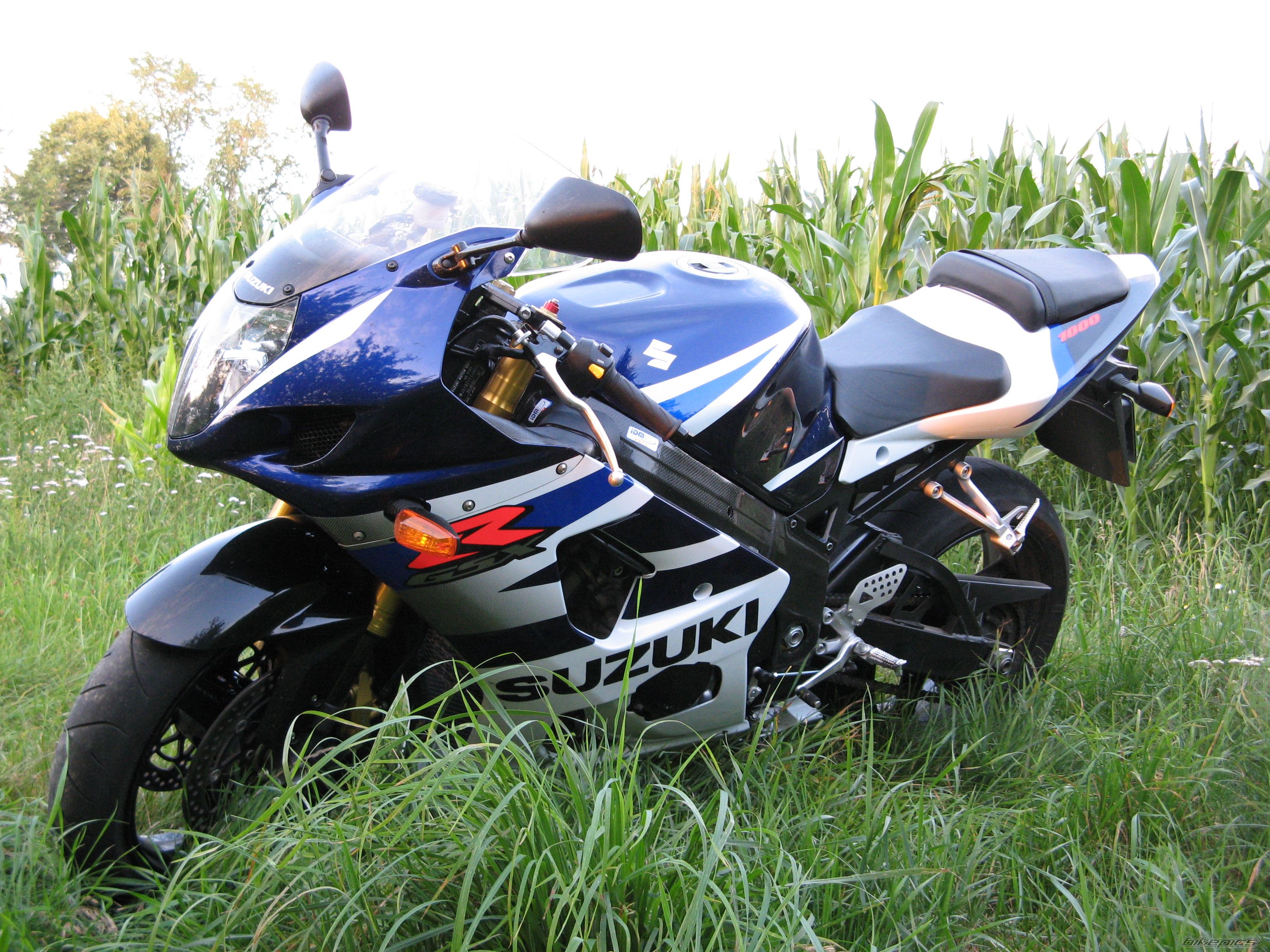 2003 SUZUKI GSX R 1000 | Picture 970521 motorcycle photo