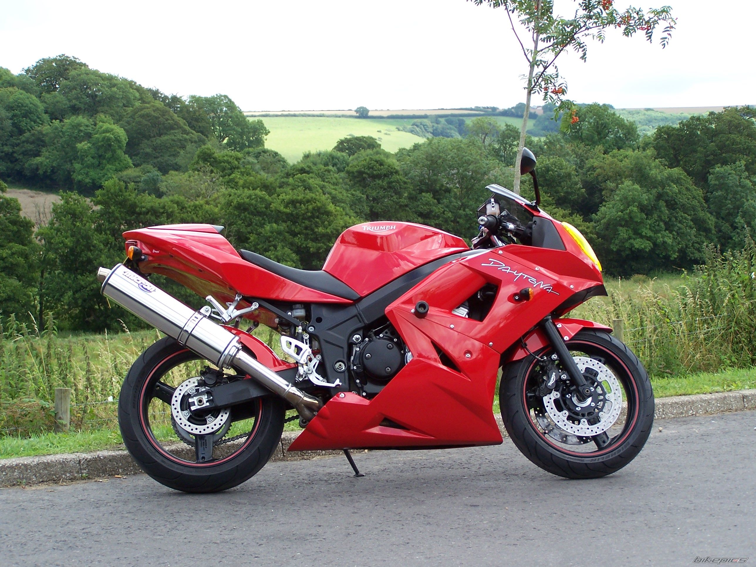 2004 TRIUMPH DAYTONA 600 | Picture 970837 motorcycle photo