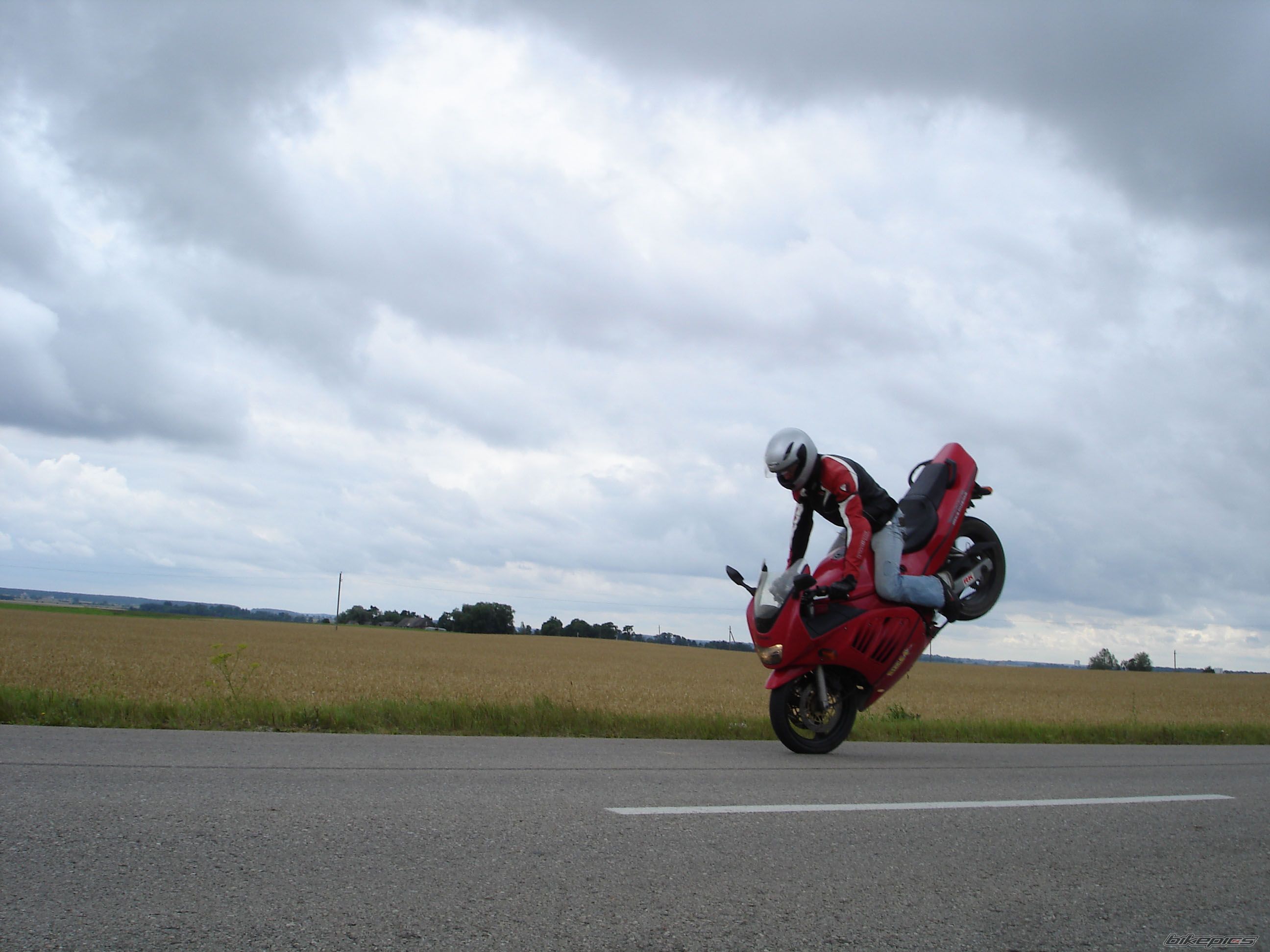1998 SUZUKI RF 400 | Picture 971265 motorcycle photo
