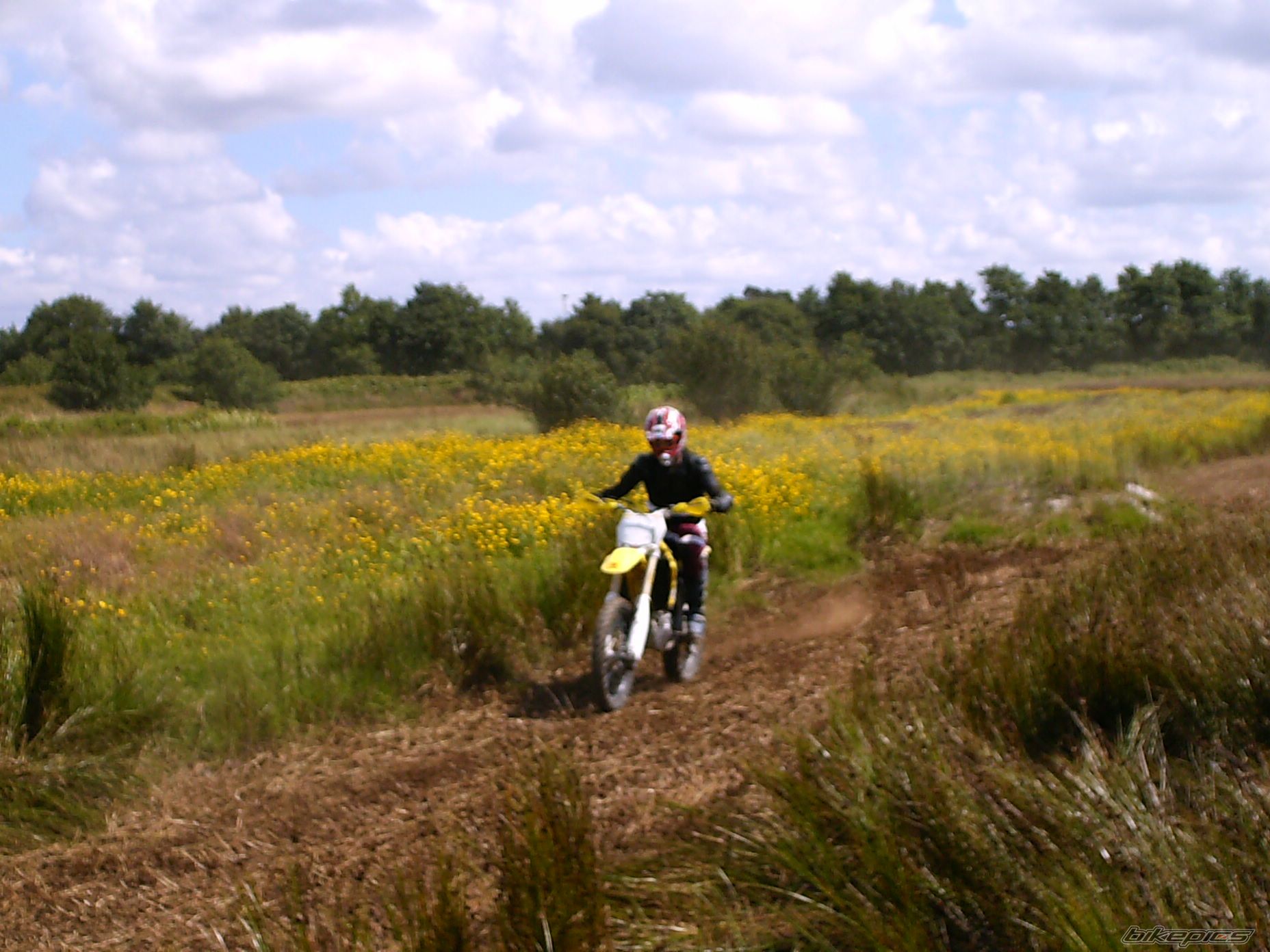 2006 SUZUKI RM 450Z | Picture 971336 motorcycle photo