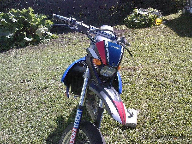 2004 YAMAHA DT 50 | Picture 971850 motorcycle photo