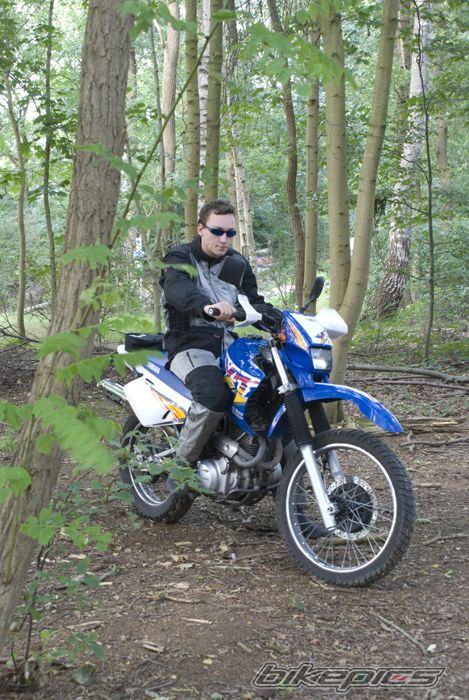 1998 YAMAHA XT 600 | Picture 972246 motorcycle photo