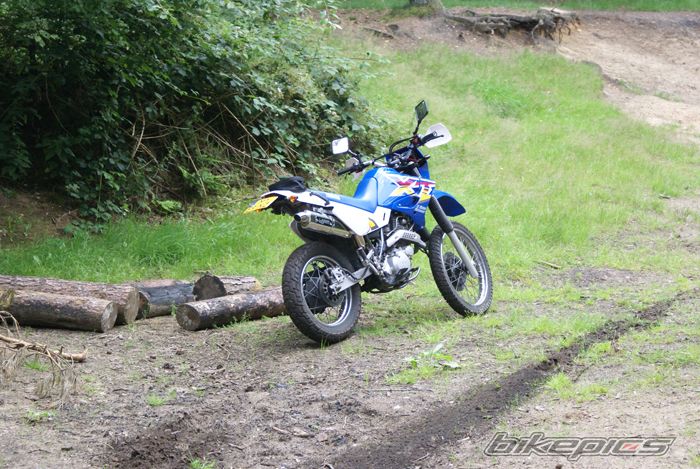 1998 YAMAHA XT 600 | Picture 972249 motorcycle photo
