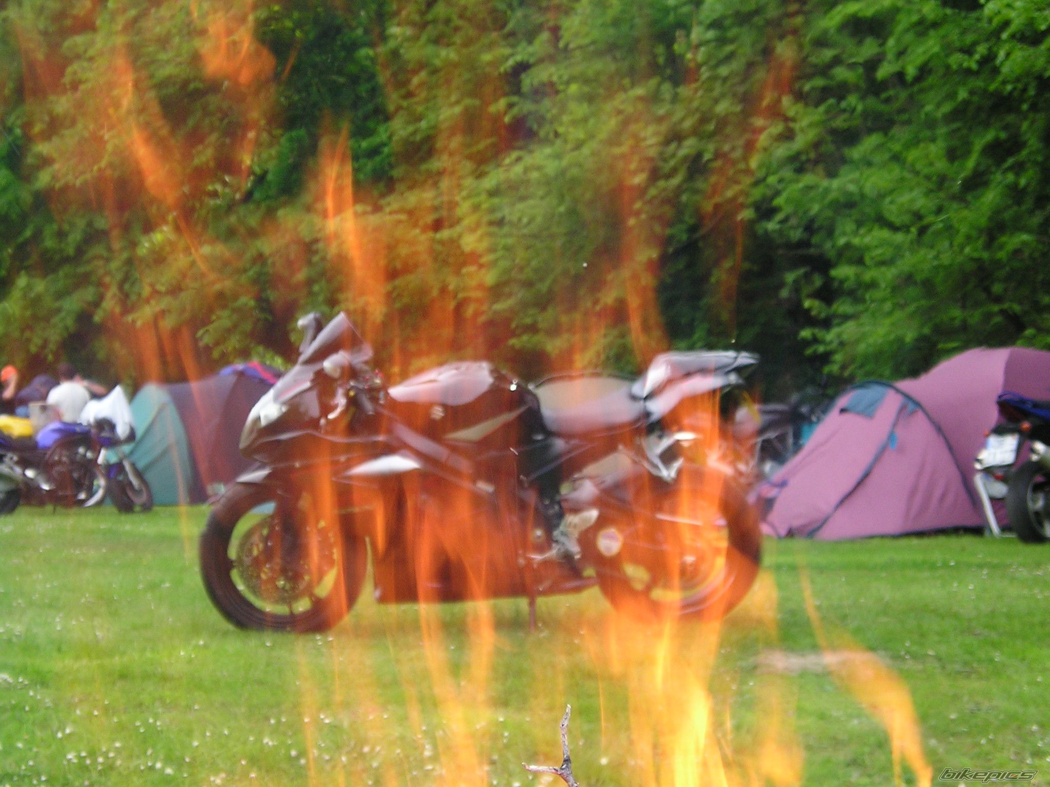 2006 SUZUKI GSX R 1000 | Picture 973304 motorcycle photo