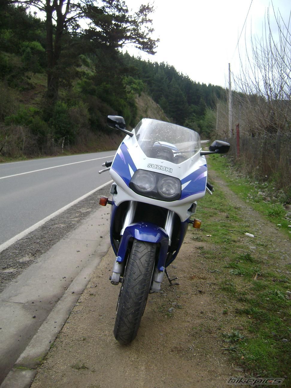 1994 SUZUKI GSXR400RSP | Picture 973346 motorcycle photo