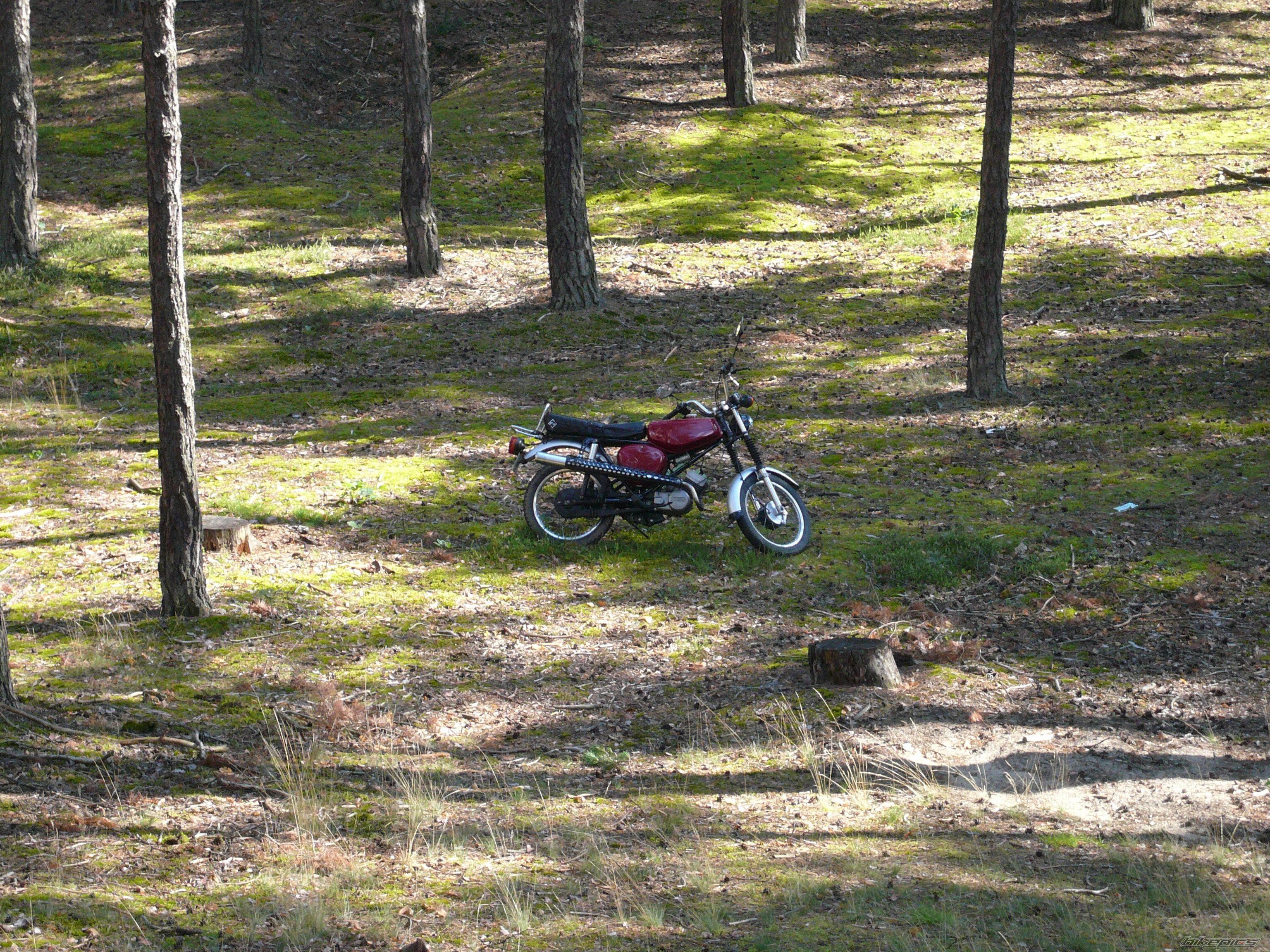 1981 SIMSON S51 ENDURO | Picture 973493 motorcycle photo